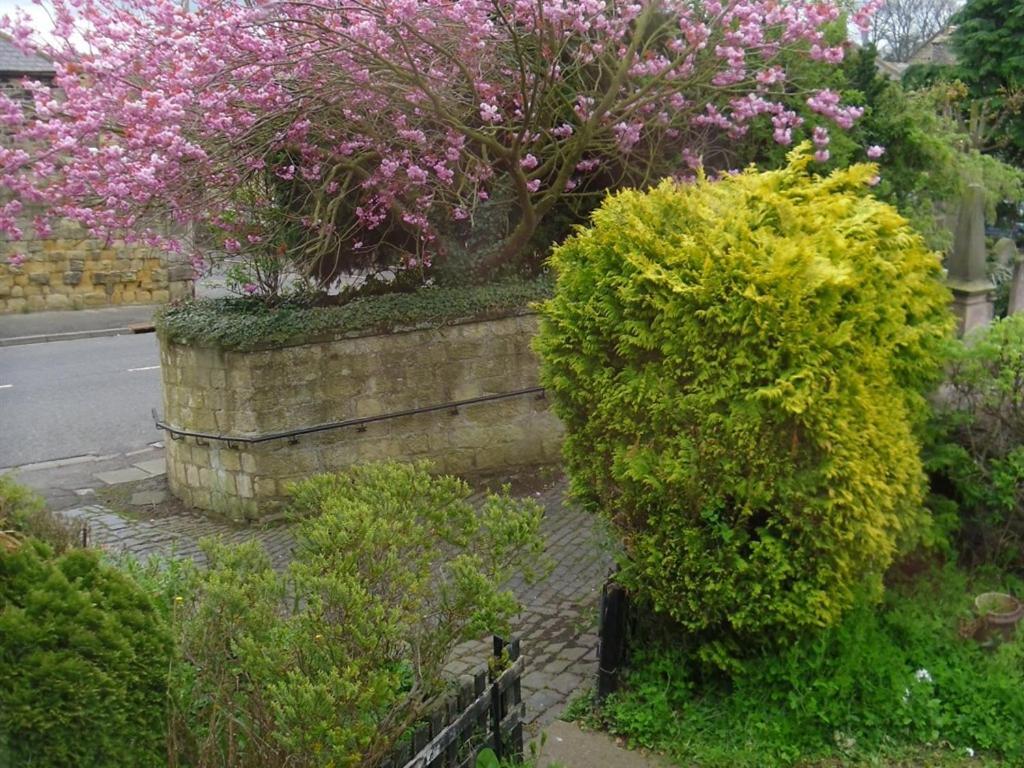 The Old Vicarage Bed and Breakfast Belford Exteriör bild