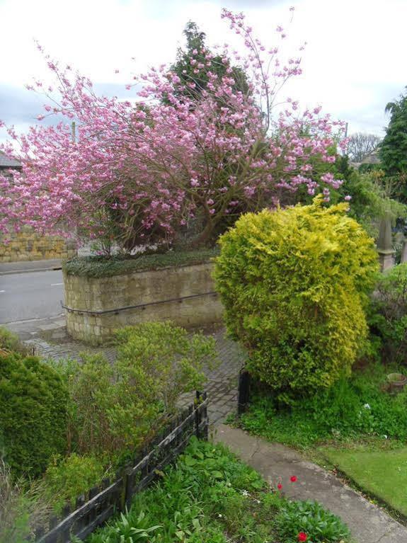The Old Vicarage Bed and Breakfast Belford Exteriör bild